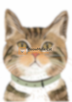 +42 Tabby Portrait Cat – MeowMuse Close-Up Wall Art Printable