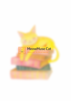 +42 Sleepy Book Cat – Cute Reading Corner Wall Art Print